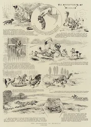 Les Aventures de Nicholas